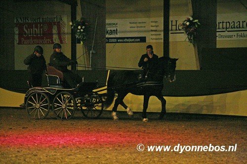 Voorbeeldfoto: Night of the Stallions